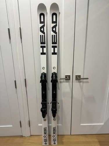 Racing 176 cm HEAD WC Rebels e-GS Skis With Bindings (Used)