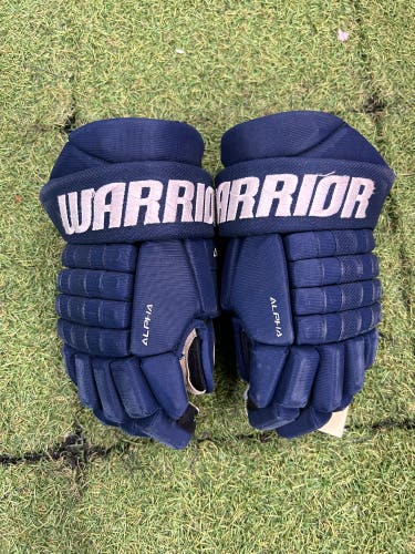 Junior Warrior Alpha FR Lite Gloves 12" (Used)