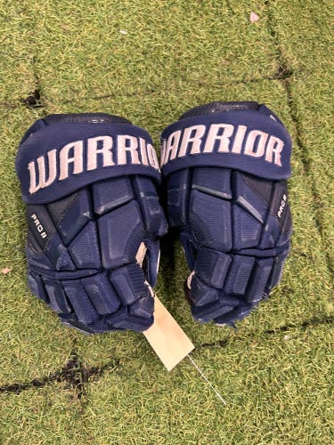 Junior Warrior Pro Series II Gloves 10" (Used)