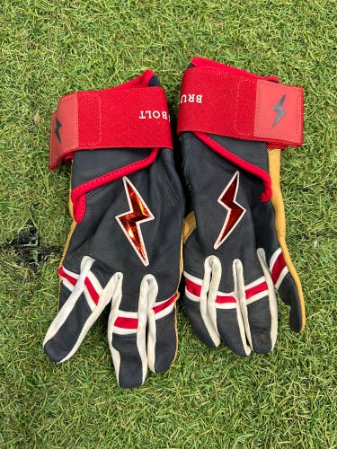Blue Small Bruce Bolt Batting Gloves (Used)