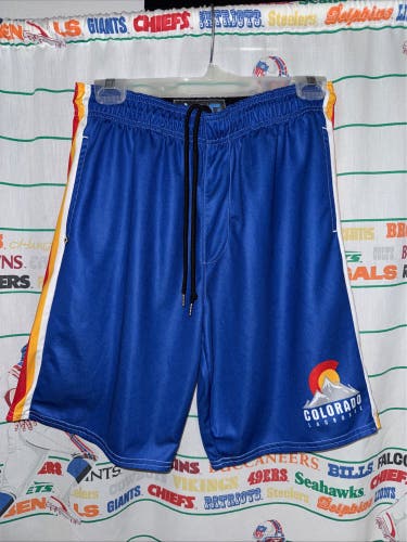 Blue Large Men's Shorts (Used)
