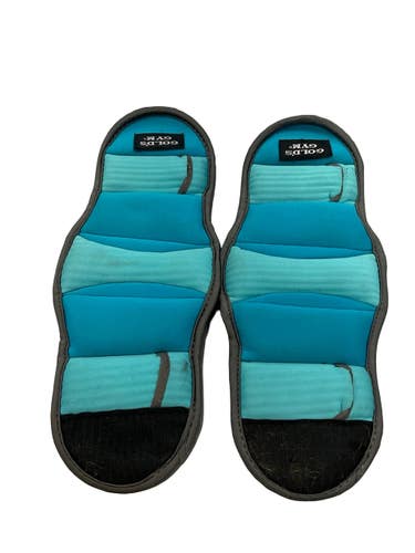 Used Golds Gym Ankle Weights Carolina Blue 2 lb 11859-S000034243