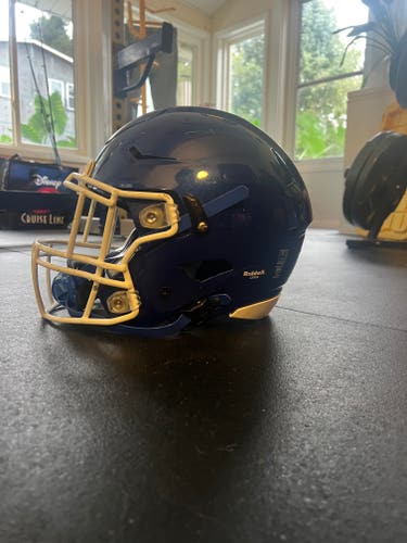 Blue Large Adult Riddell SpeedFlex Helmet (Used)