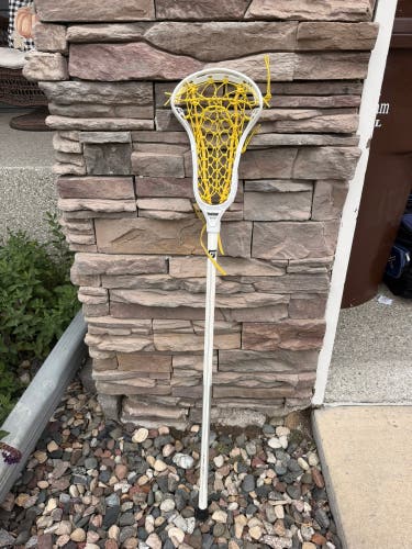 Adult Gait Apex Stick (Used)