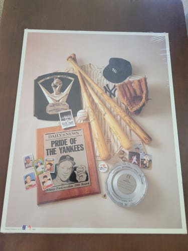 New York Yankees Whitey Ford Chairman of the Board Print