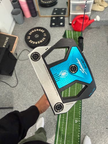 TaylorMade Putter zero torque
