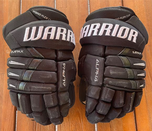 Warrior Alpha DX Pro Gloves 12" (Used)