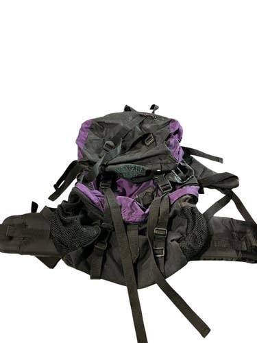 (Used) Purple Backpack