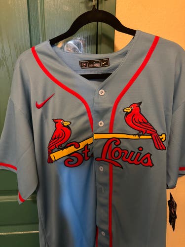 Gray Large Adult Unisex Nike Jersey (New) Pujols