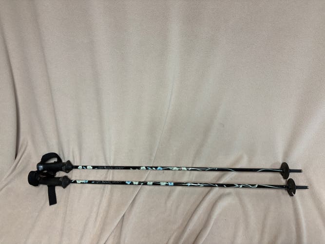 40in (100cm) All Mountain The Royal Shaft Ski Poles (Used)