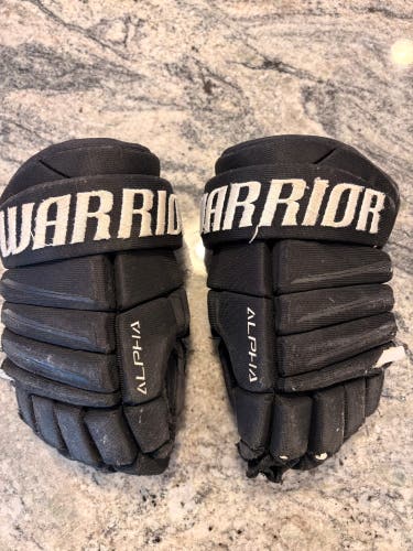 Warrior Alpha Gloves 11" (Used)