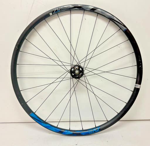 Giant XC2 Tubeless 28-Spoke Aluminum Disc 15x100mm Thru Axle 29er Front Wheel