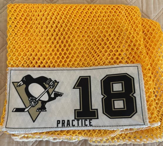 Pittsburgh Penguins Laundry Bag #18