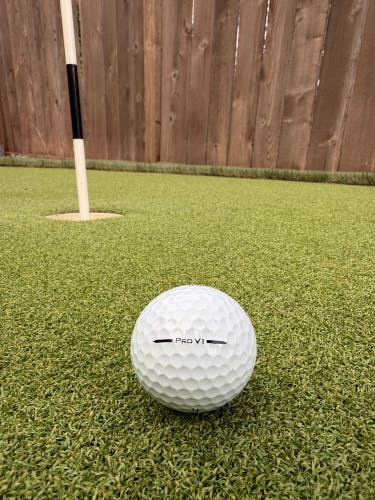 Titleist Pro V1 Balls 24 Pack (2 Dozen) (Used)