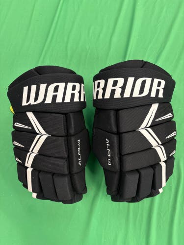 Warrior Alpha DX5 Gloves 13"