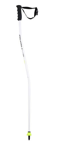 HEAD Worldcup SG Junior Race Ski Poles, White/Black, 105 cm