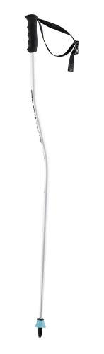 HEAD Worldcup SG JR Junior Race Ski Poles