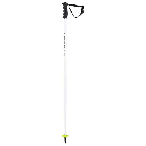 HEAD Worldcup SL Junior Race Ski Poles, White/Black, 105 cm