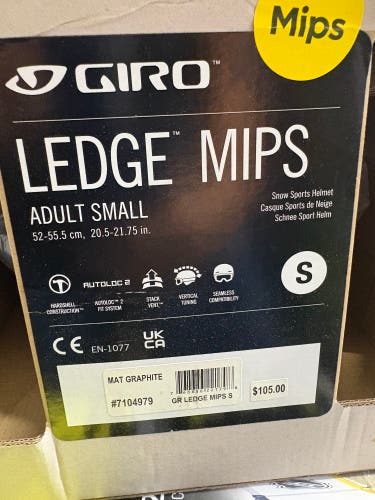 Small Giro Helmet (New) small