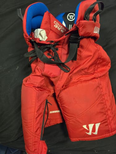 Junior Large Warrior Hockey Pants (Used)