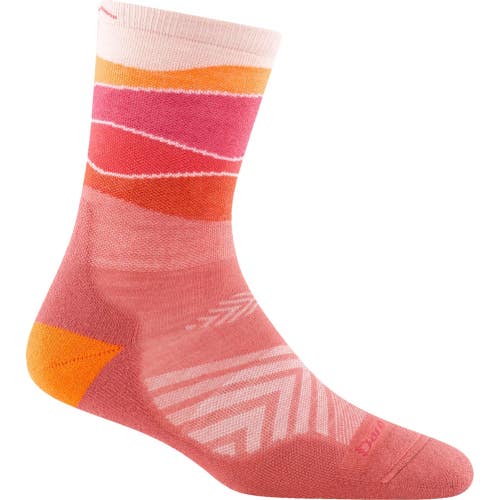 Darn Tough Vermont Horizon Micro Crew Cut Socks Women Large Canyon Stretch DAC97