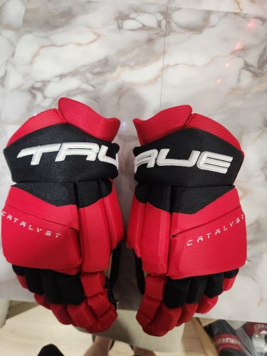 True Catalyst 9x Pro Gloves 15" Pro Stock (Used)