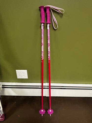 K2 ski pole
