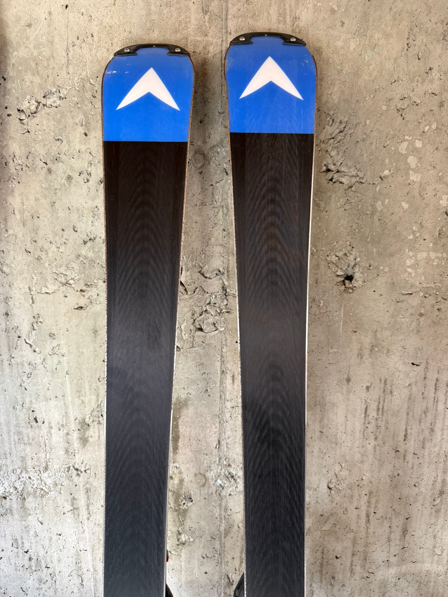 Dynastar Speed Omeglass WC SL FIS 163 cm Racing Skis (Used
