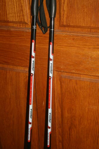 50in (125cm) Alpina Alpine Cross Country Ski Poles