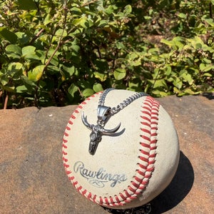 Silver Longhorn Chain set