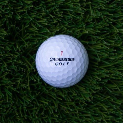 36 BRIDGESTONE E6 Mint Used Golf Balls AAAAA