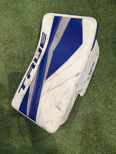Senior True L12.2 Pro Goalie Gloves & Blockers Regular (Used)