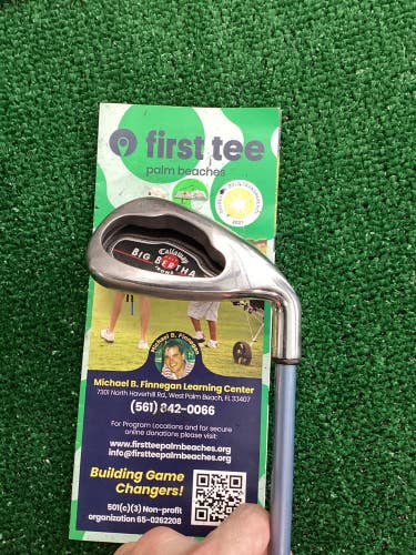 Callaway Big Bertha 2004 Ladies 9 Iron Graphite Shaft