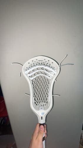 Loading Wyn strung with ECD 7D