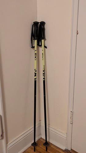38in (95cm) Leki All Mountain RIDER Ski Poles (Used)