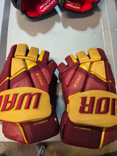 Warrior Pro Series II Gloves 15" (Used)