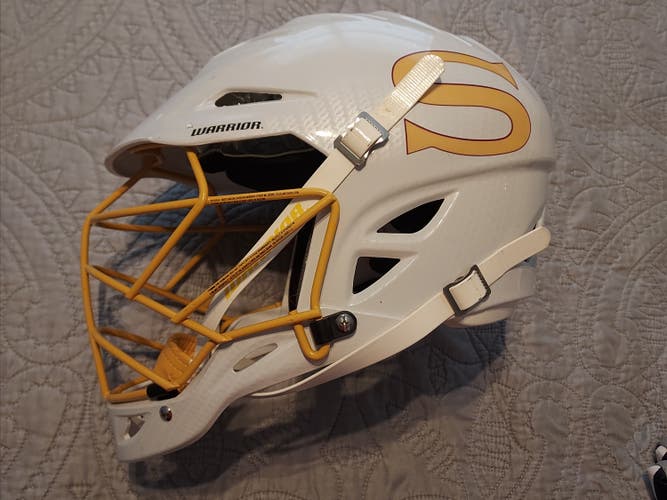 Salisbury Warrior Regulator 2 Helmet