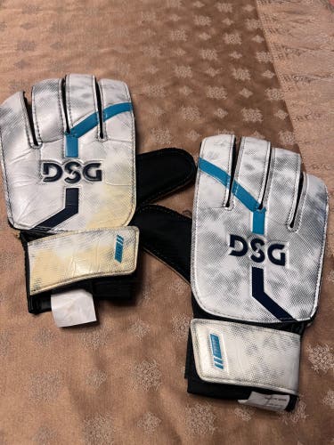 DSG Goalie Gloves (Used)