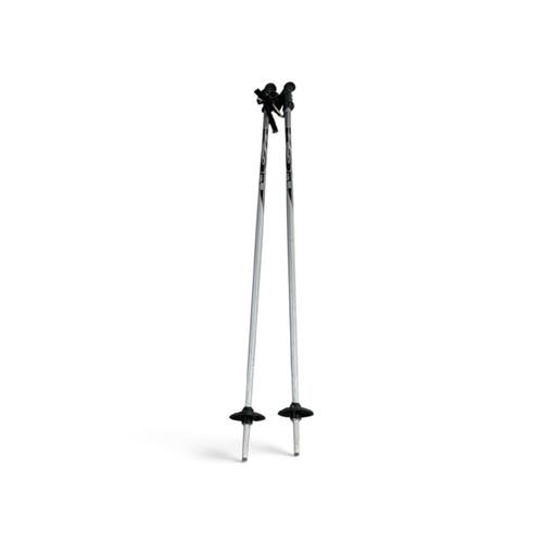 Used Rossignol 2 POWER Mens DH Ski Pole Silver 110 cm / 44 in 11735-S000368519