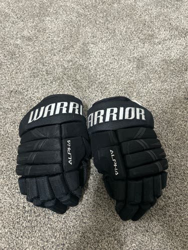 Warrior Alpha DX3 Gloves 10" (Used)