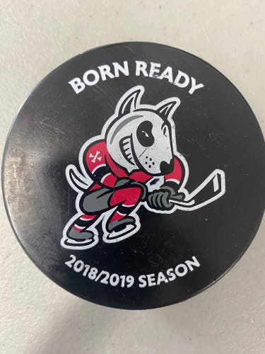 Niagara IceDogs puck OHL