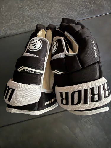 Warrior Alpha QX Pro Gloves 13" (Used) very good condition