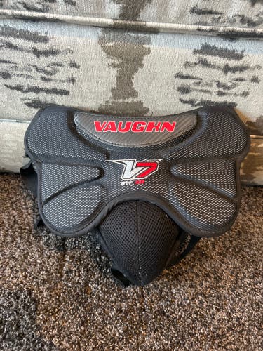 Vaughn v7 Int