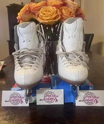Jackson Elite DJ 5200 Figure Skates with Blades- Women's 4 excellent Conditions