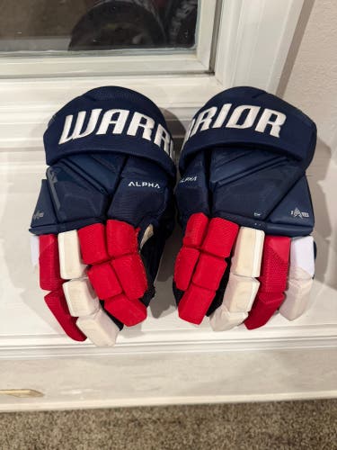 Team USA hockey gloves