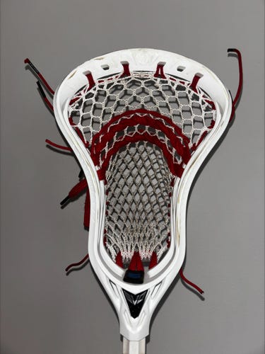 Warrior Evo 5 Strung Attack Head (Used)