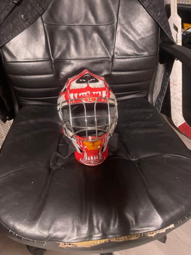 Intermediate Medium Itech Goalie Mask (Used)