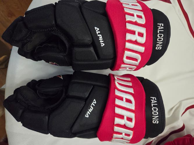 Warrior Alpha Pro Gloves 14" Pro Stock (Used)