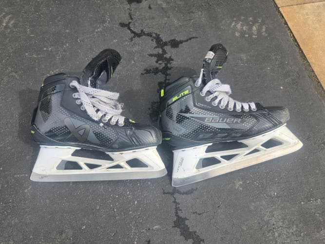 Bauer Elite Hockey Goalie Skates Regular Width 8.5 (Used)