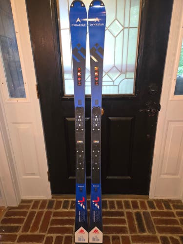 Men's 2024 Dynastar 165 cm Racing Speed Omeglass WC SL FIS Skis Without Bindings (Used)